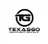 TexasGo LLC