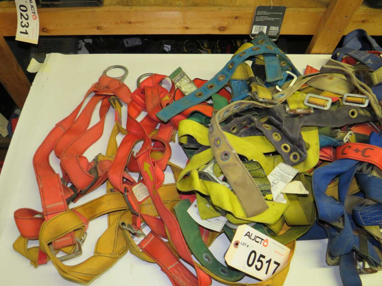 LOT OF HARNESSES - SAFETY SWITCH