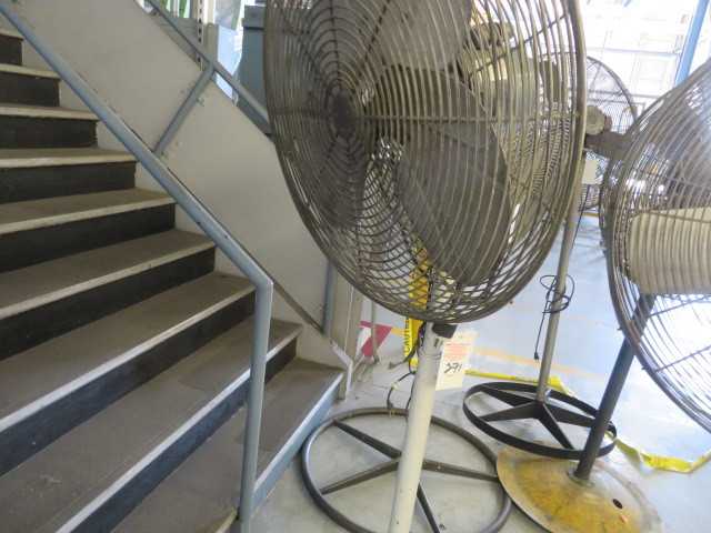 Fan - MISCELLANEOUS