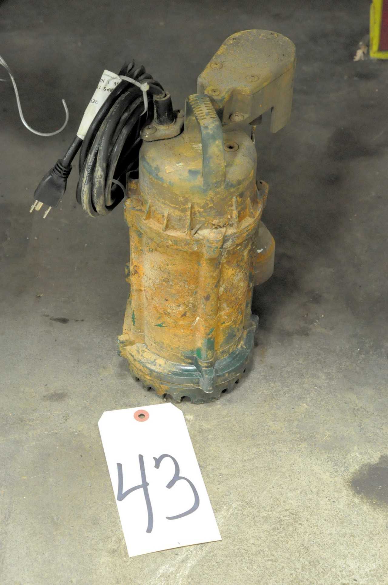 Sump Pump - PUMPS