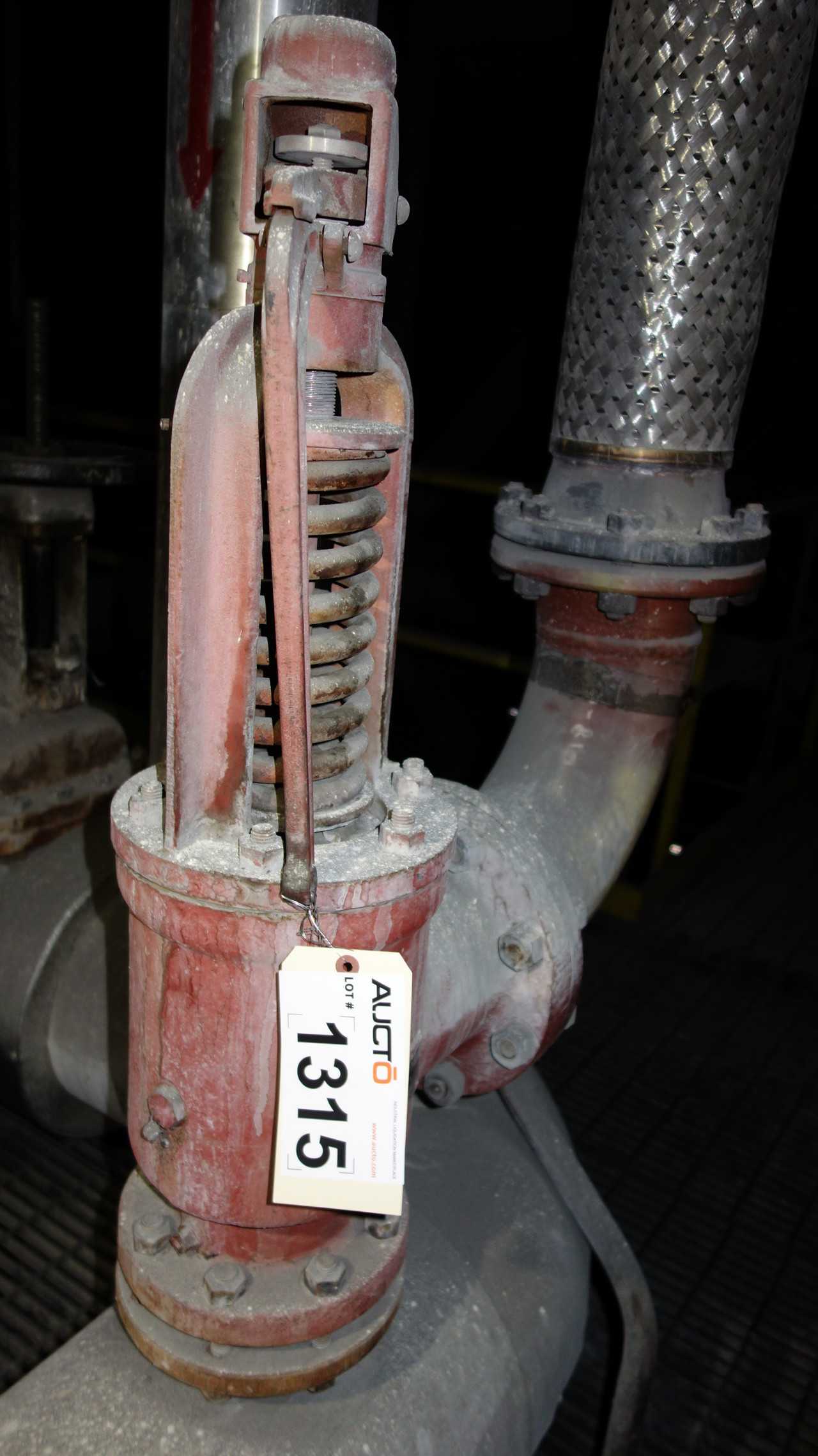FARRIS 2575A RELIEF VALVE 4X6 70PSI - RELIEF VALVE