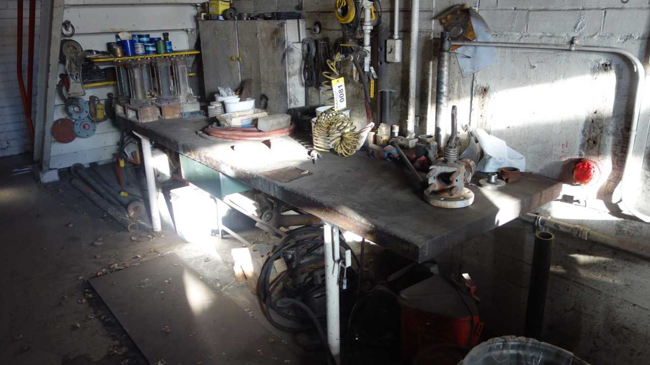 PROFESSIONAL TOOL WORK TABLE W/ CONTENTS - TOOL STORAGE