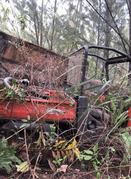 Kubota Utility Vehicle - LIGHTING