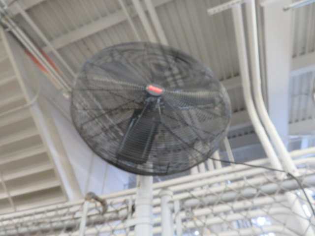 Fan - MISCELLANEOUS