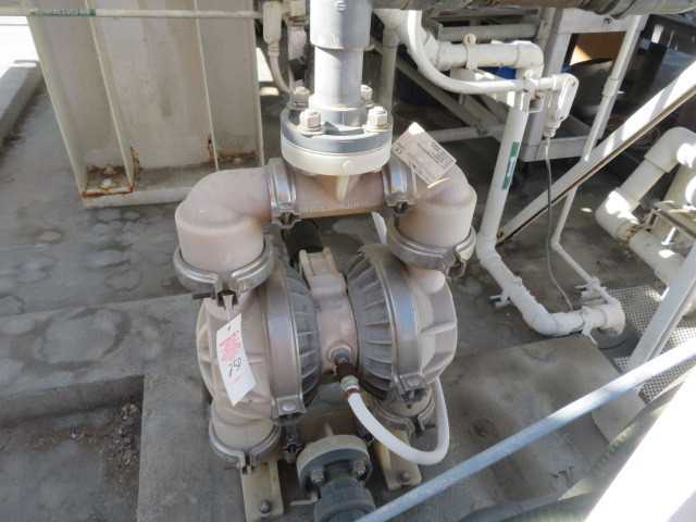 Wilden Pump - MISCELLANEOUS