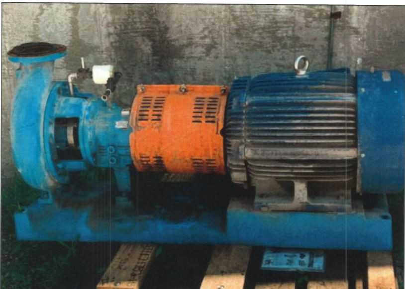 Goulds 3196 Pump & Motor - quantity 2 - PUMPS