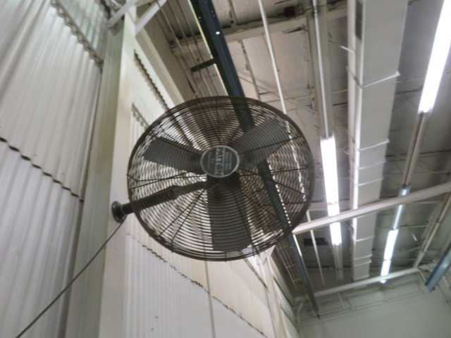 Fan - MISCELLANEOUS