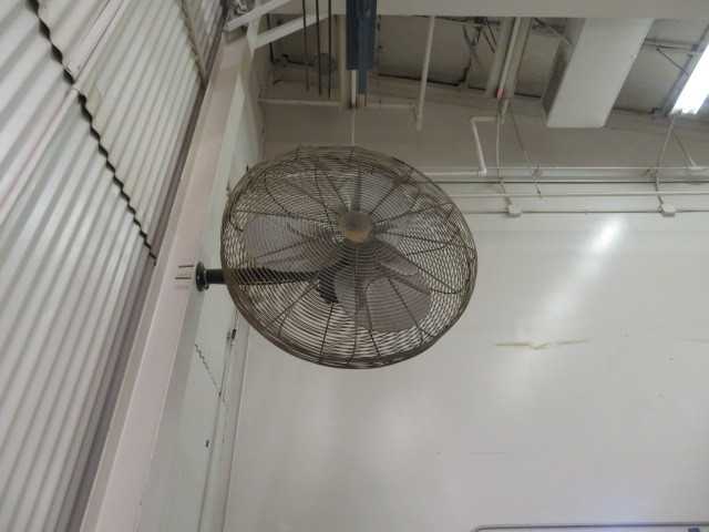 Fan - MISCELLANEOUS