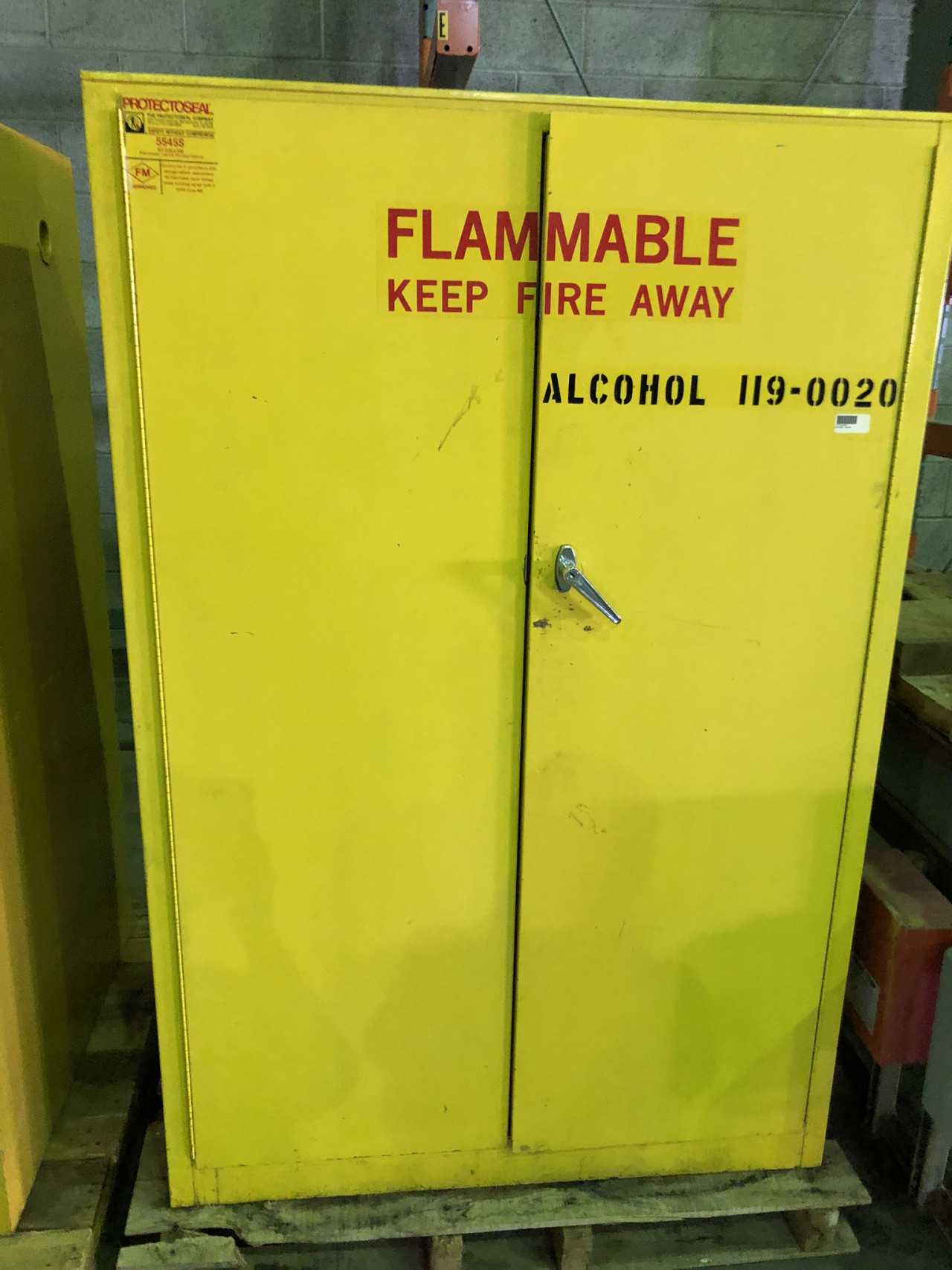 Flammable Cabinet (Lot of 2) - TOOL STORAGE