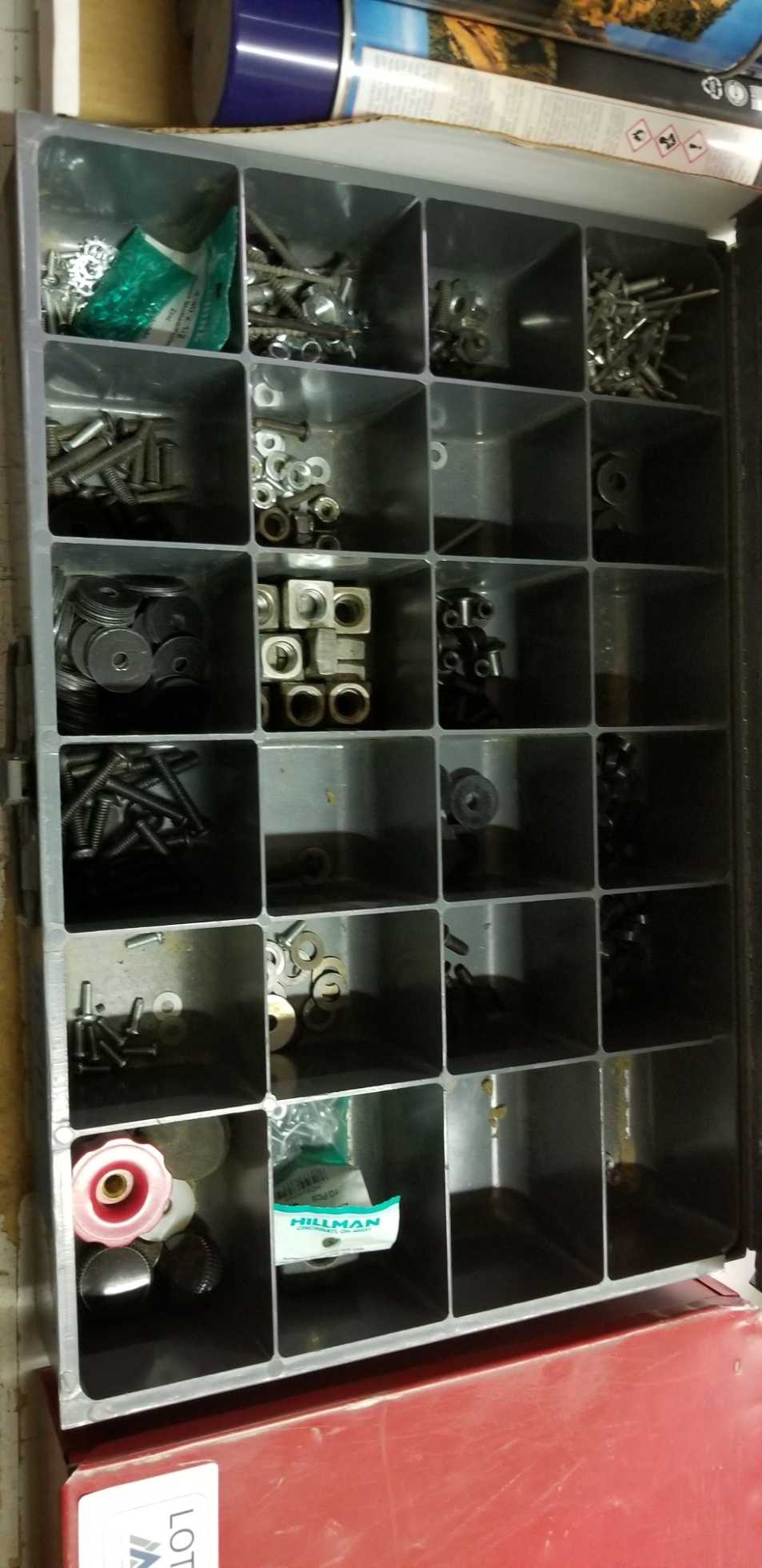 Organizer - MISCELLANEOUS Organizer - MISCELLANEOUS