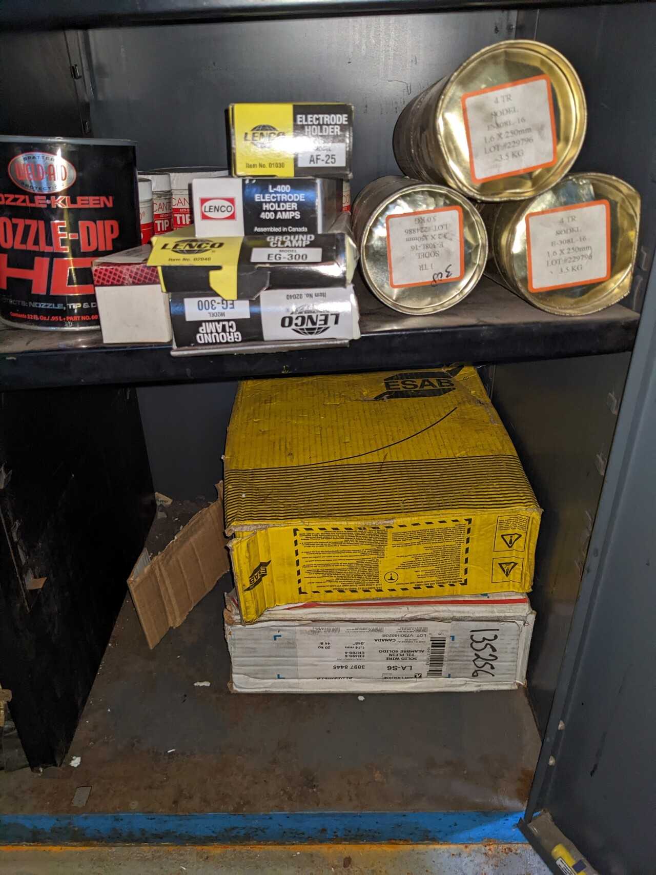 2 DOOR TOOL CABINET WITH CONTENTS, ASSORTED WELDING EQUIPMENT, TORCHES, ELECTRODES, HOSES - TOOL STORAGE