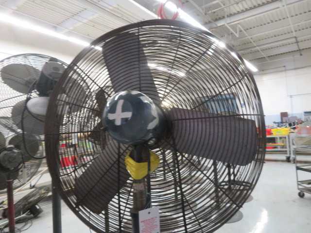Fan - MISCELLANEOUS