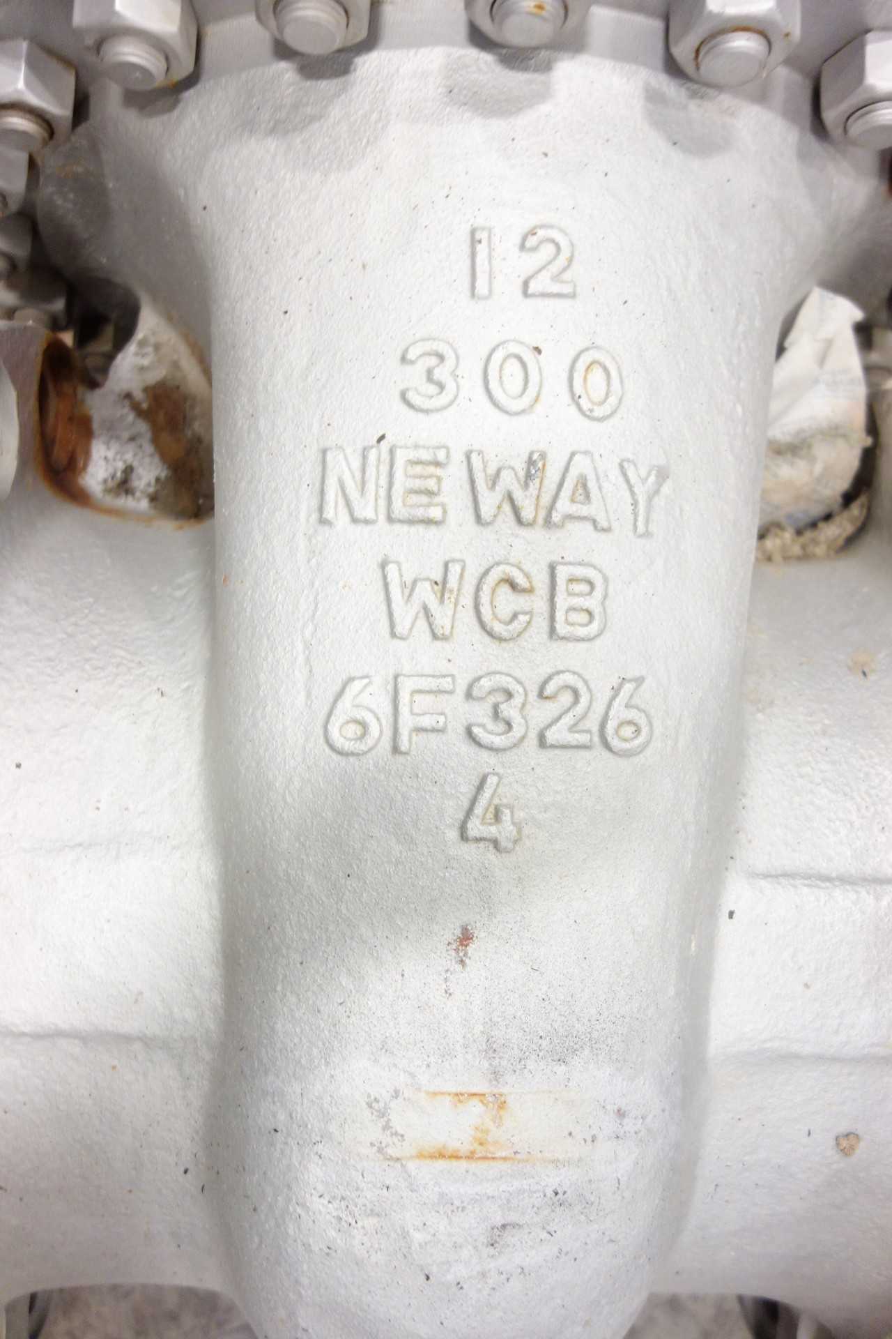 NEWAY 12" GATE VALVE - KNIFE GATE VALVE
