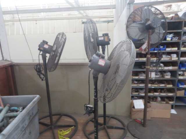 Fans, (lot) - MISCELLANEOUS