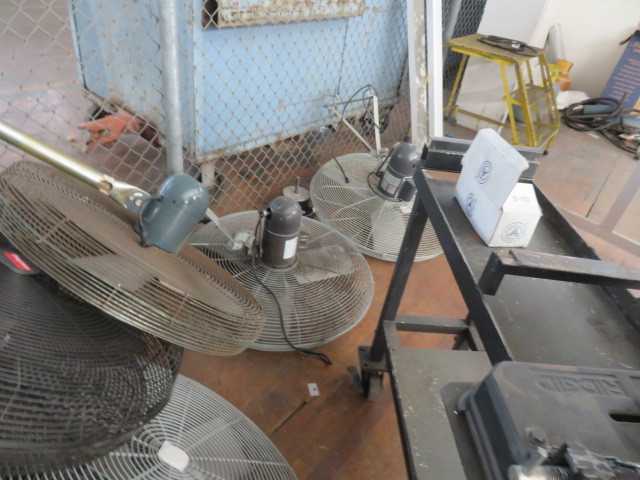 Fans (lot) - MISCELLANEOUS