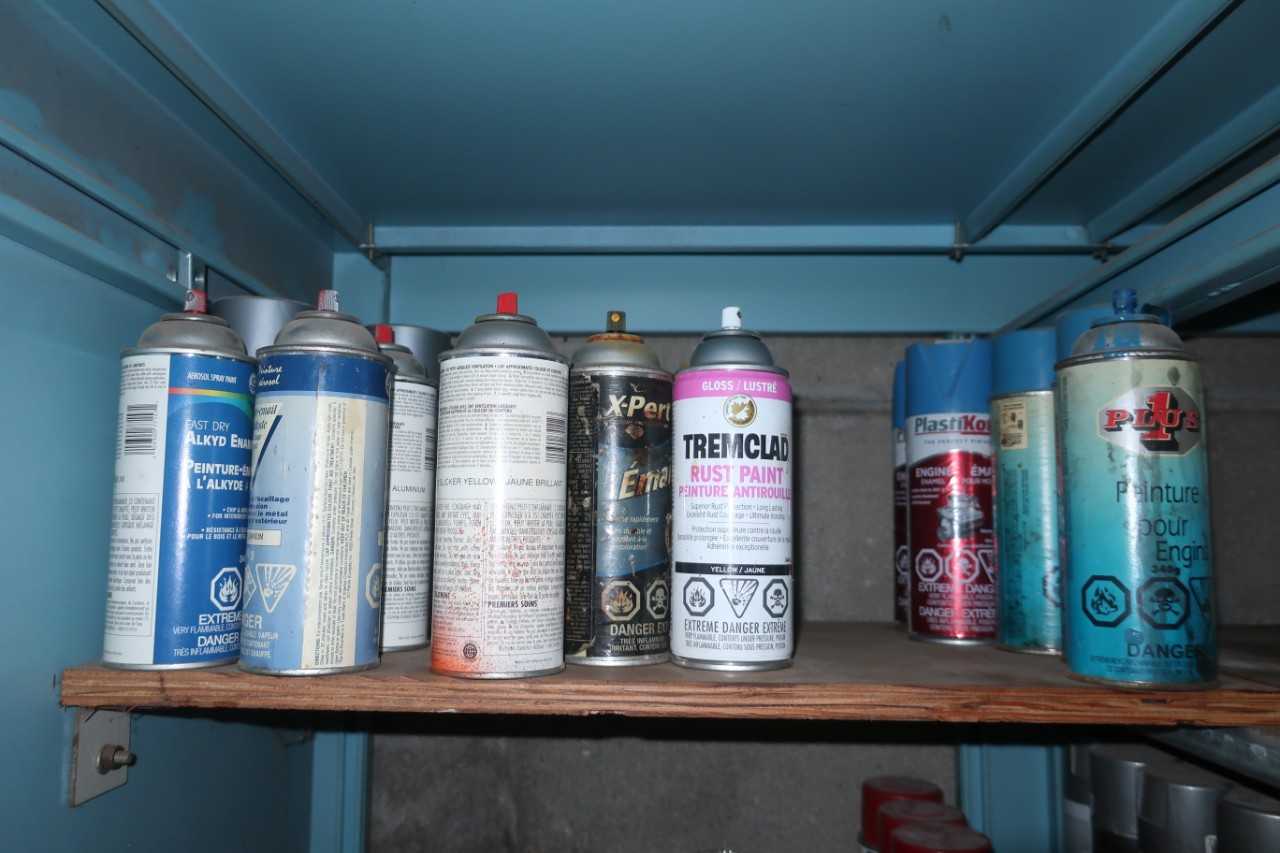 LOT OF ASSORTED INTERIOR/EXTERIOR PAINT - MISCELLANEOUS