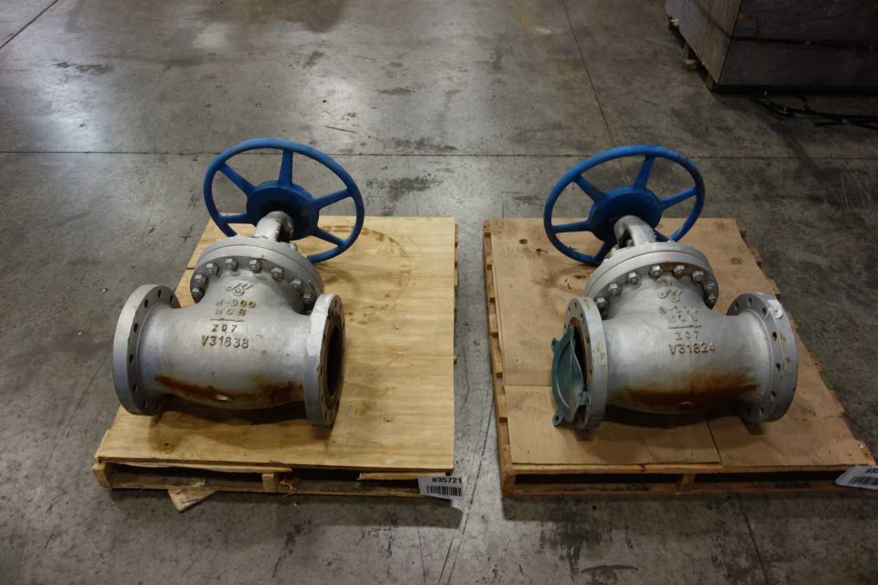 LOT OF 2 DSI GLOBE VALVES - GLOBE VALVE LOT OF 2 DSI GLOBE VALVES - GLOBE VALVE