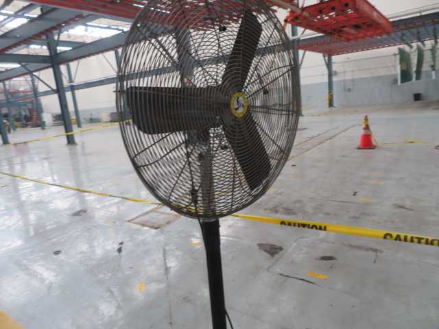 Fan - MISCELLANEOUS