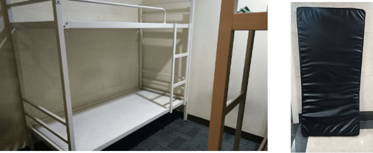Bunk Bed - Includes (2) Single Mattresses - PLANT & FACILITY Bunk Bed - Includes (2) Single Mattresses - PLANT & FACILITY