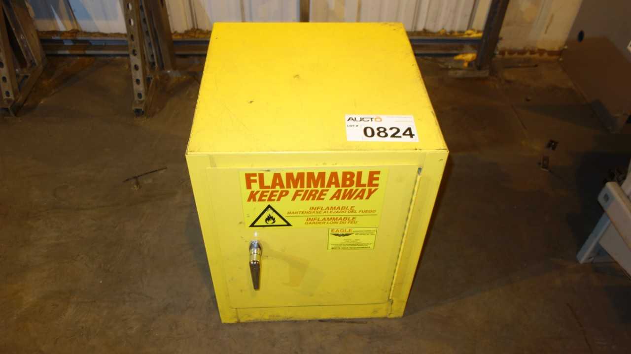 EAGLE 1904 4 GAL FLAMMABLE SAFETY STORAGE CABINET - TOOL STORAGE