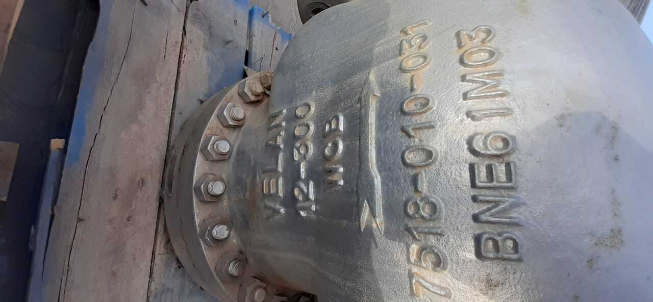 Lot of 2 Check Valvess - CHECK VALVE