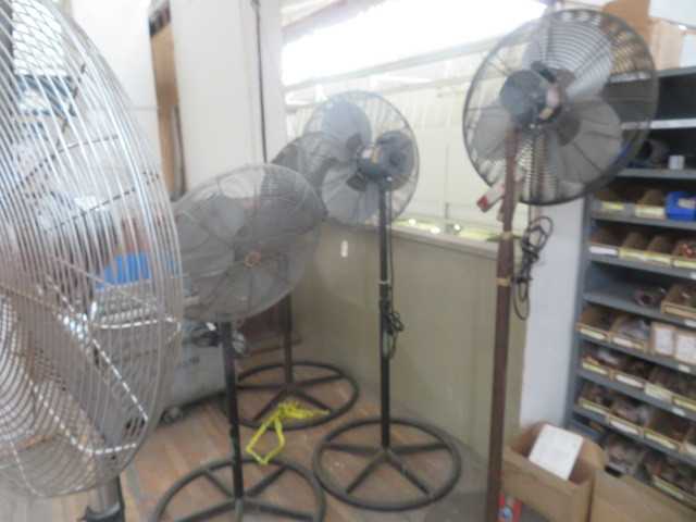 Fans, (lot) - MISCELLANEOUS