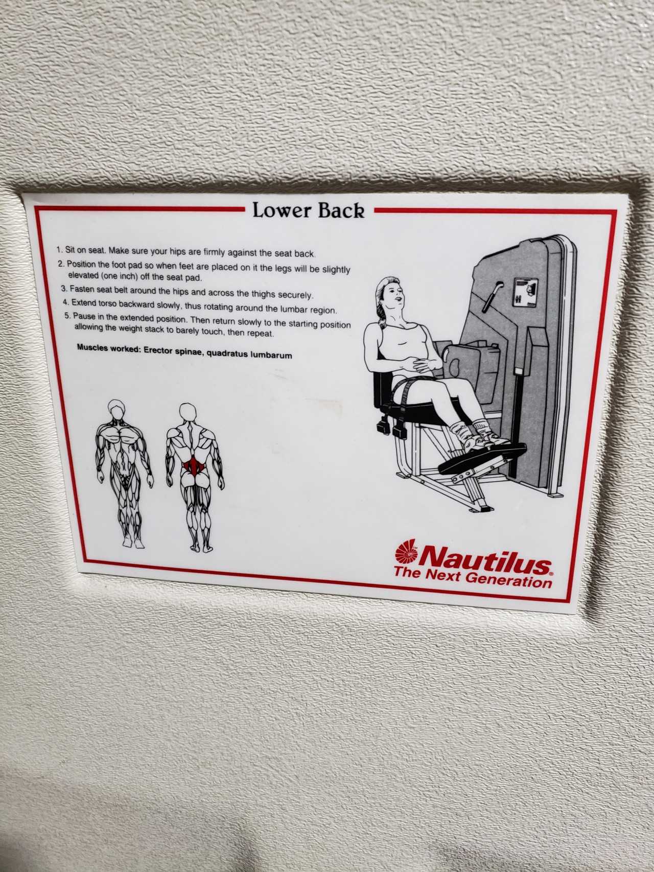 Fitness Equipment - Lower Back - MISCELLANEOUS