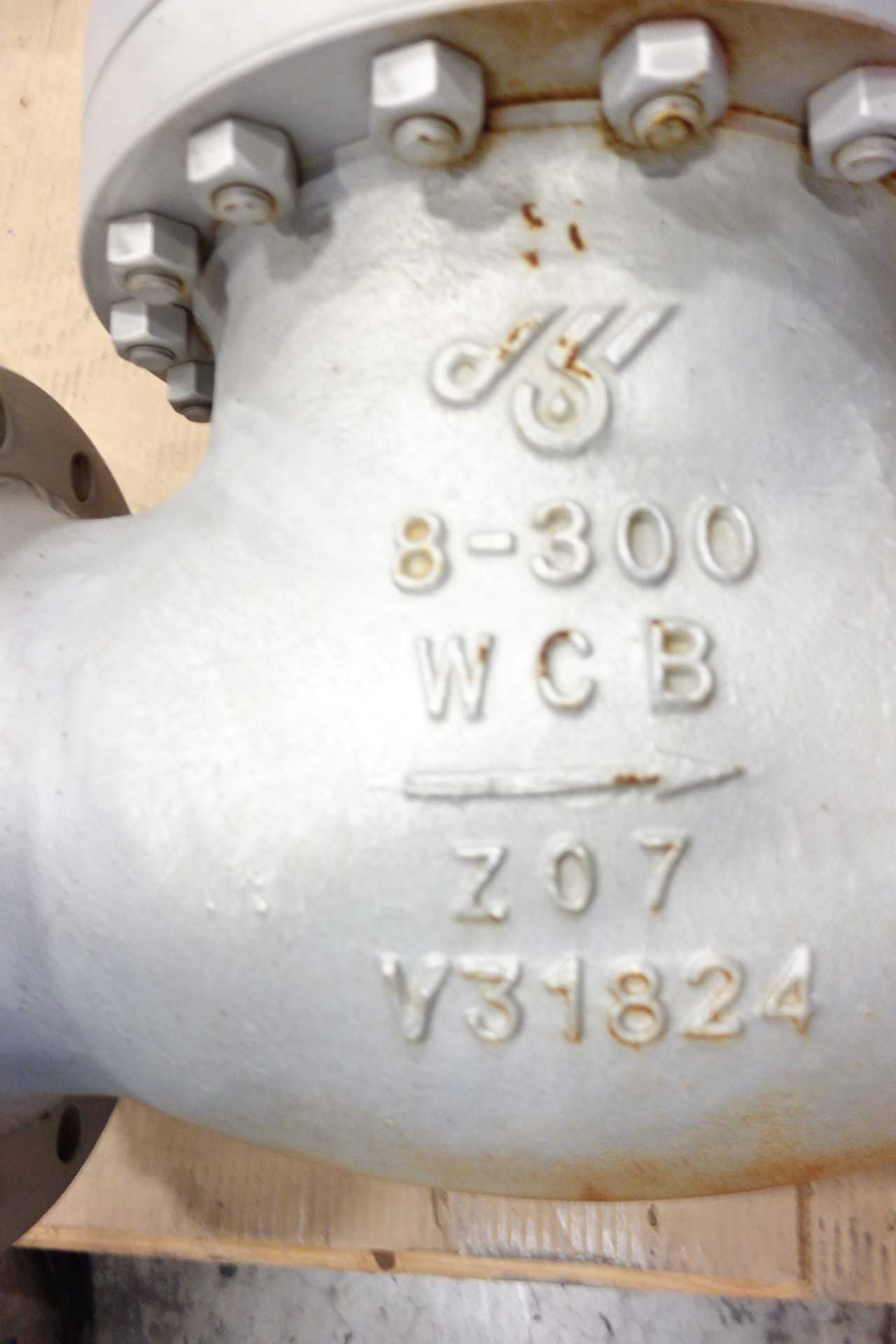 LOT OF 2 DSI GLOBE VALVES - GLOBE VALVE