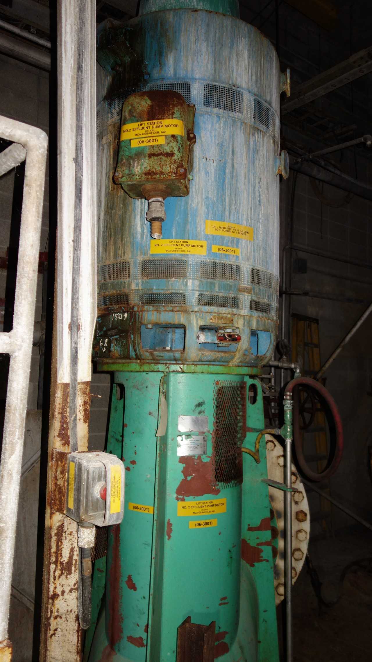 JOHNSTON PUMP 1-30LS 400HP VERTICAL PUMP MOTOR - PUMPS