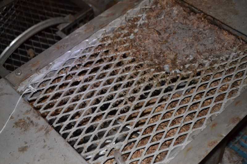 SPROUT WALDRON CONVEYOR REJECTS REFINER SCREW  - MISCELLANEOUS