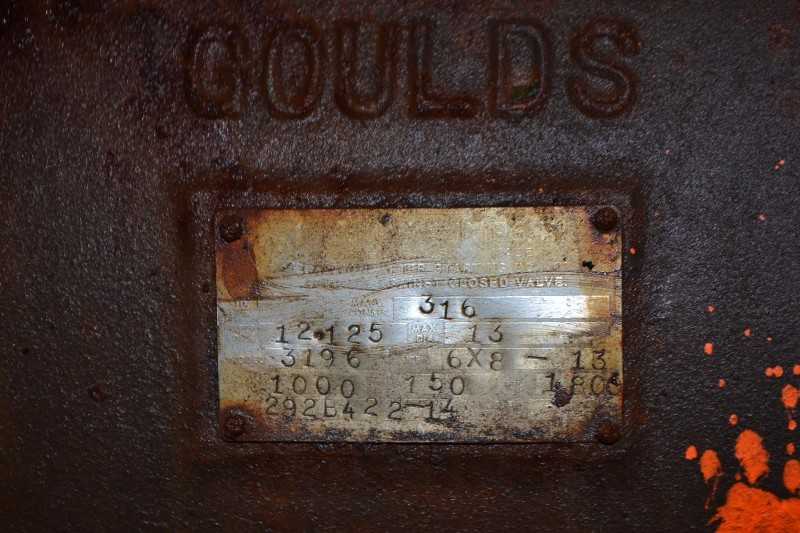 GOULDS 3196 6X8-13 STAINLESS CENTRIFUGAL PUMP 1000GPM 150FT - MISCELLANEOUS