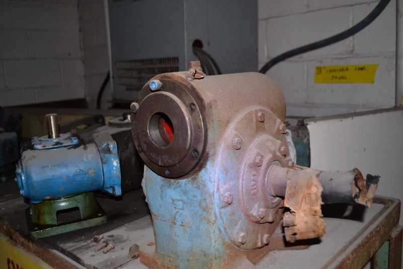 CONTENTS OF SHELVE - MORSE 40:1, MORSE 20GCY 50:1, MORSE 35GCT-R-145T 40:1 GEAR REDUCER LOT OF 8 - MISCELLANEOUS