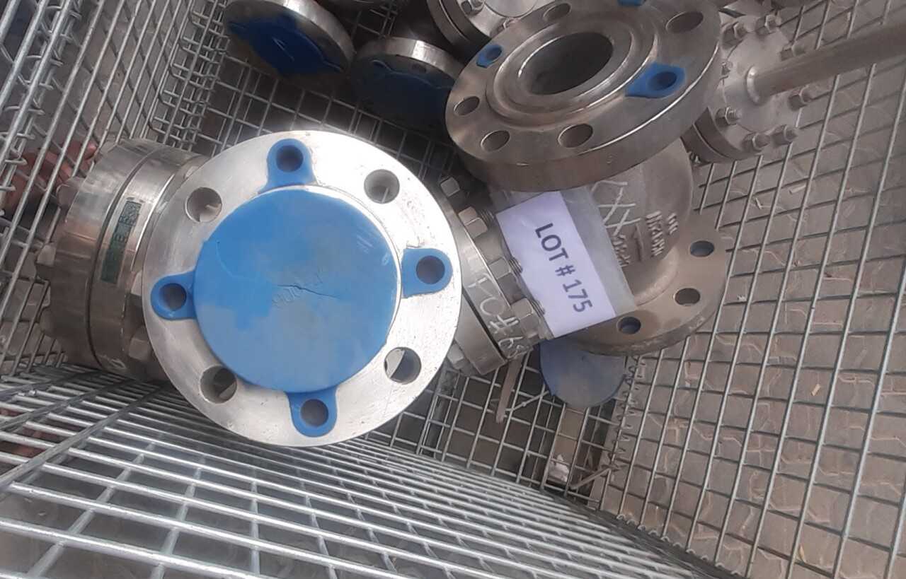 Lot of 2 Check Valves - CHECK VALVE