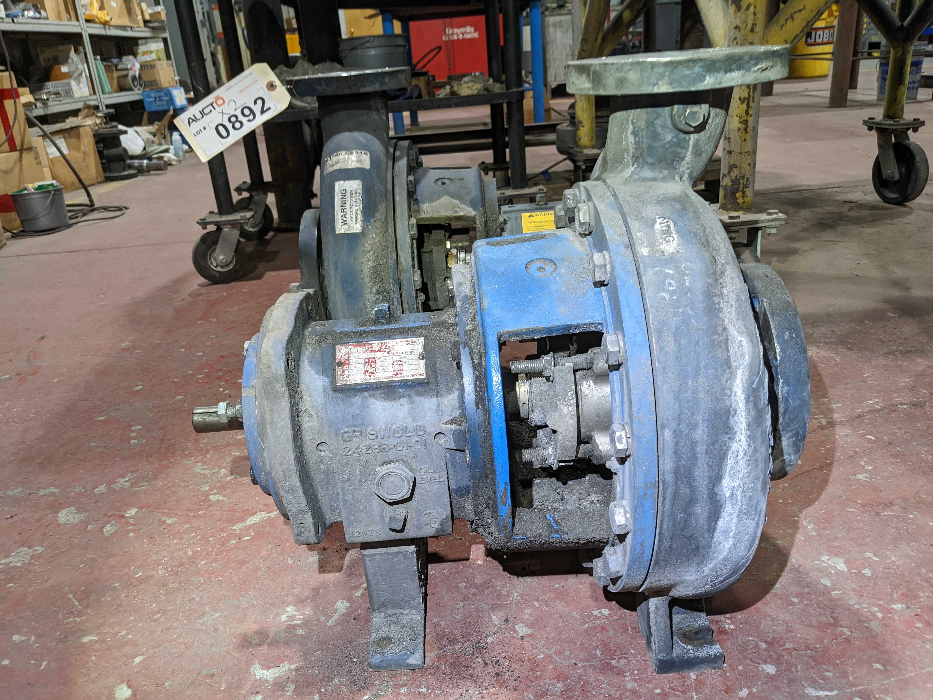 LOT OF TWO PUMPS - PUMPS