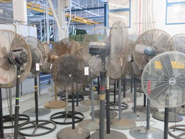 Fan - MISCELLANEOUS