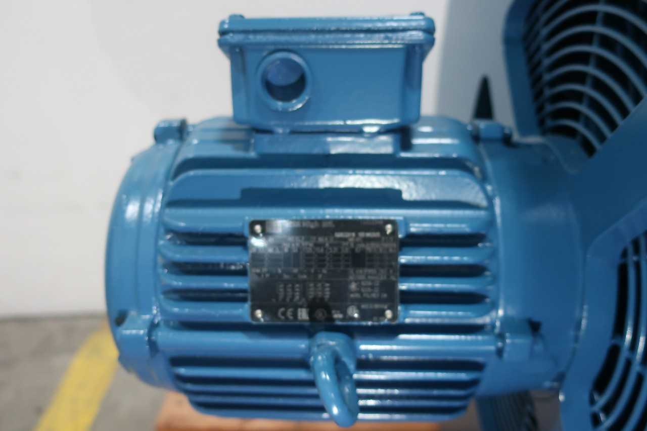 WEG 08P5807/8/9T ELECTRIC MOTOR - ELECTRIC MOTORS
