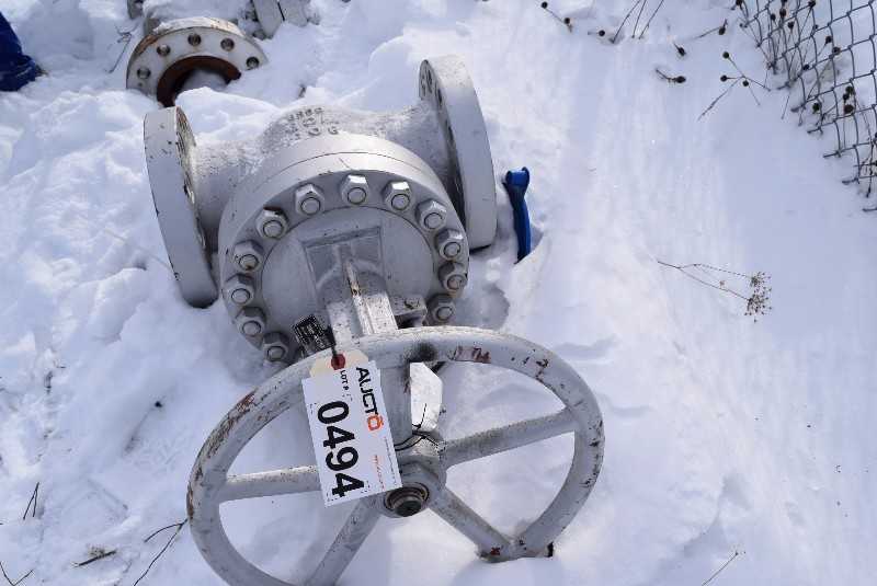 TY VALVE 351RF005 6 IN STEEL GATE VALVE CL600 - MISCELLANEOUS
