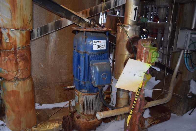 BINGHAM 2X2X9CV1C 308GPM VERTICAL CENTRIFUGAL PUMP - MISCELLANEOUS