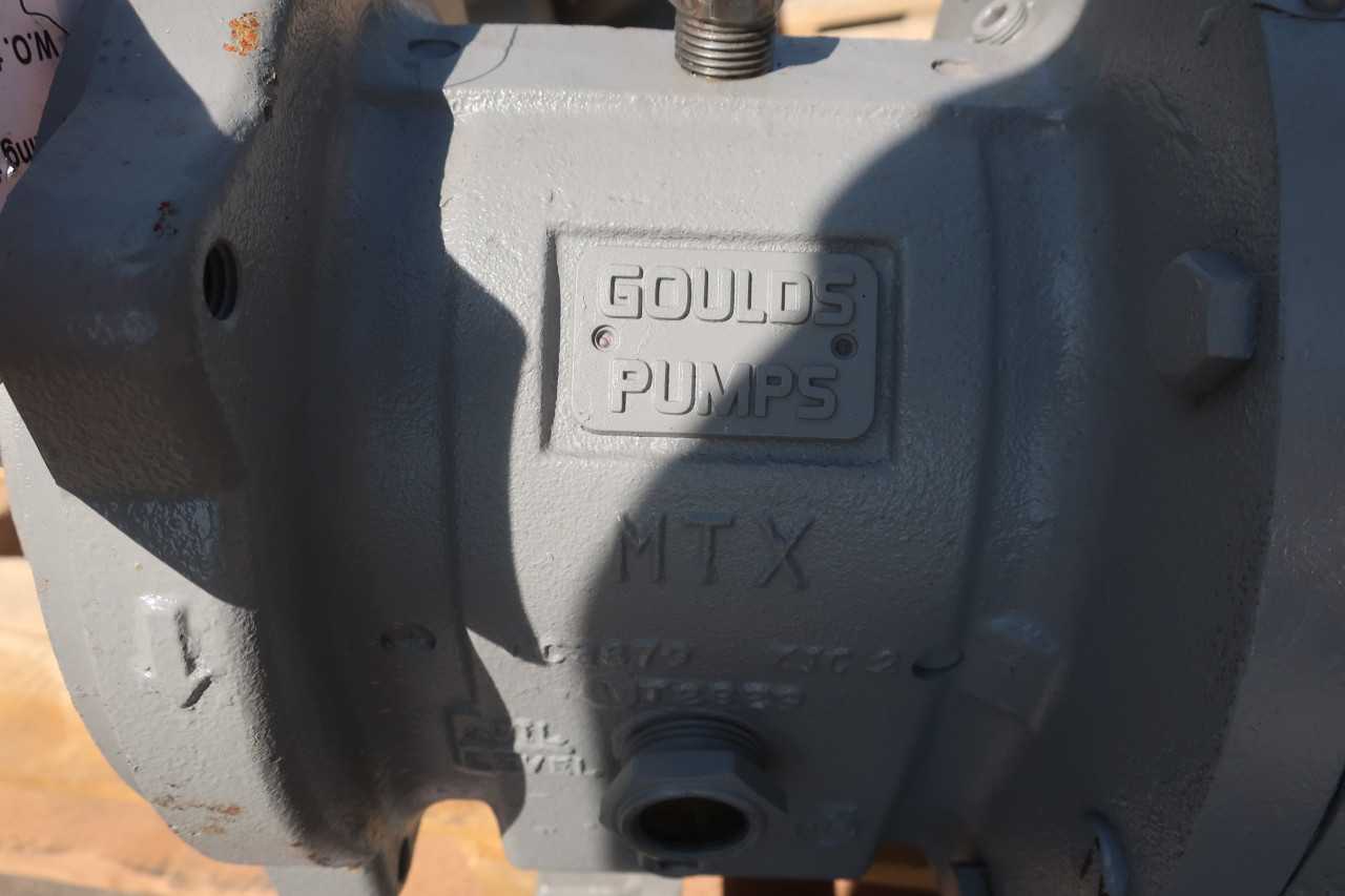 GOULDS MTX PUMP - PUMPS