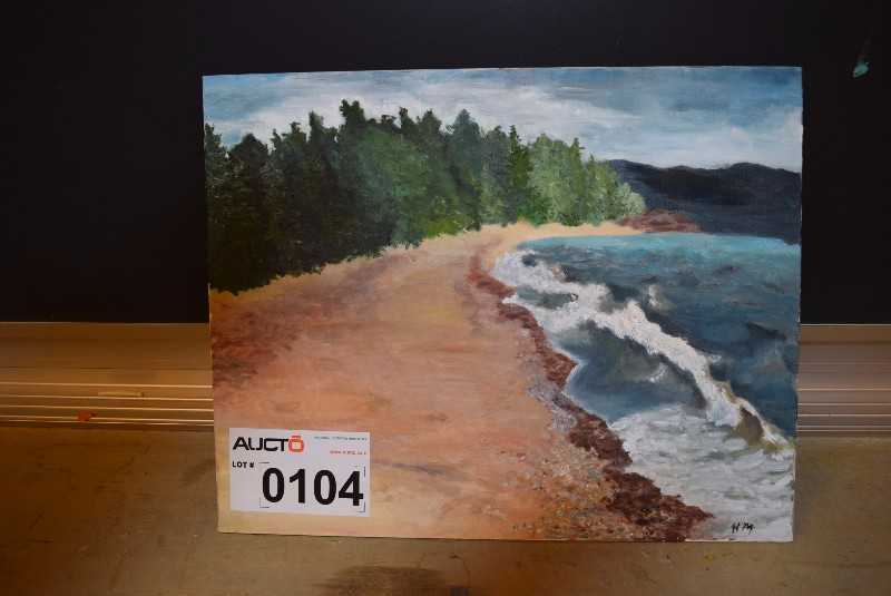 1 POTRAIT OF WILDERNESS - MISCELLANEOUS