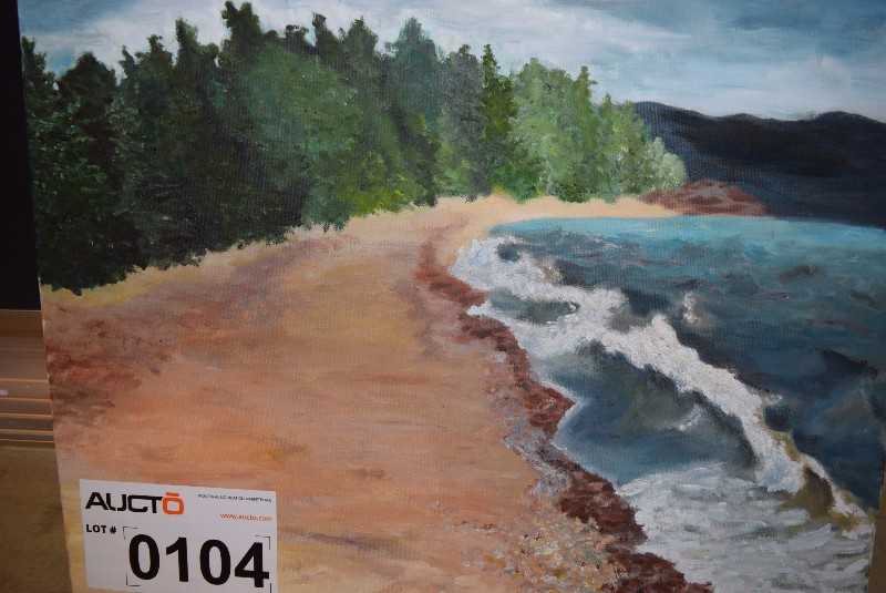 1 POTRAIT OF WILDERNESS - MISCELLANEOUS