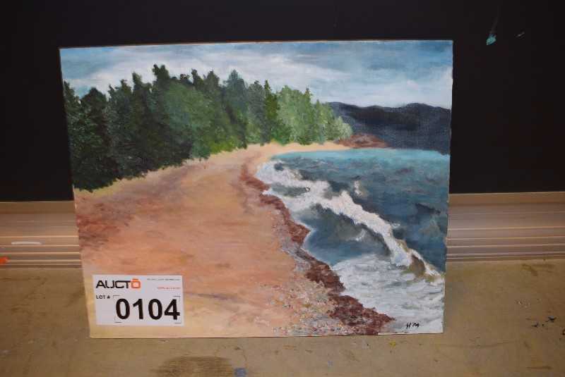 1 POTRAIT OF WILDERNESS - MISCELLANEOUS