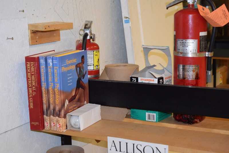 CONTENTS OF SHELVES INCLUDING SHELVES - MISCELLANEOUS