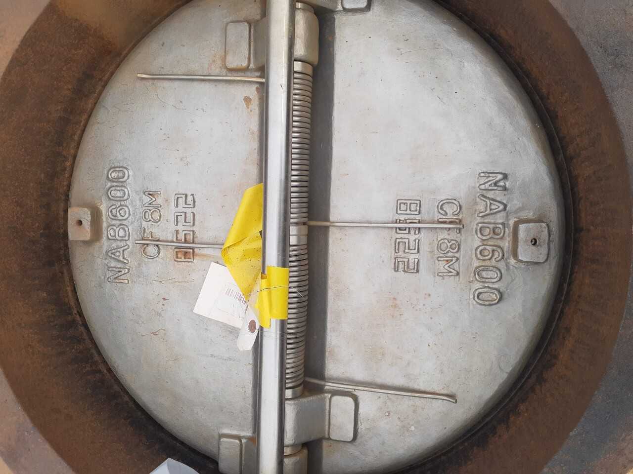 Lot of 4 Dual Plate check valves - CHECK VALVE