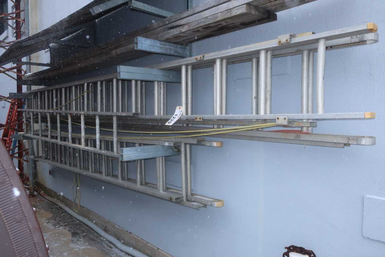 LOT OF ASSORTED EXTENSION LADDERS - ELECTRIC POWER TOOLS