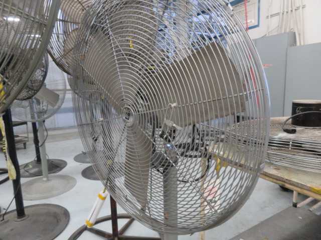Fan - MISCELLANEOUS