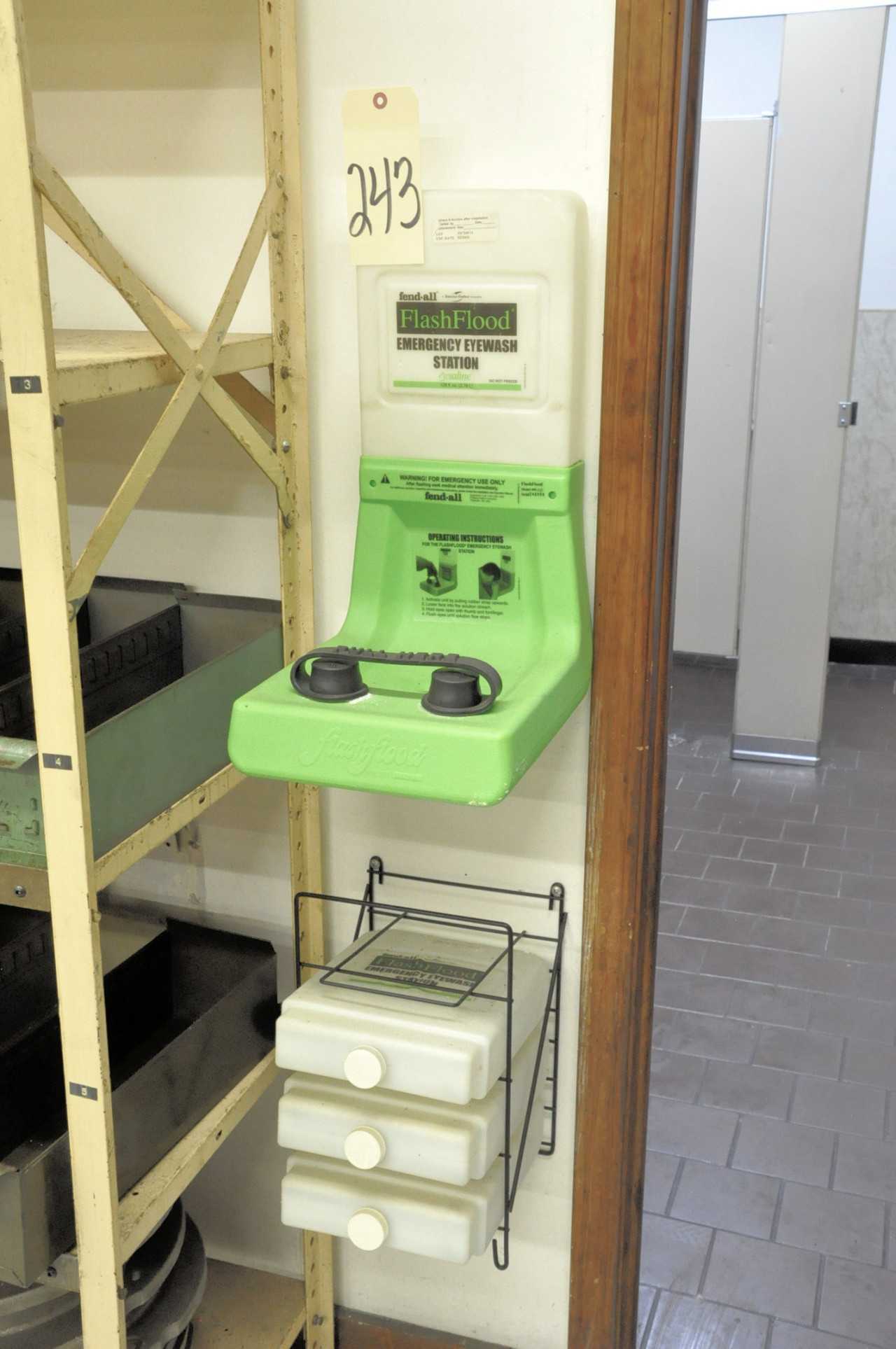 FLASH FLOOD Emergency Eye Wash Station with Supply - PLANT & FACILITY