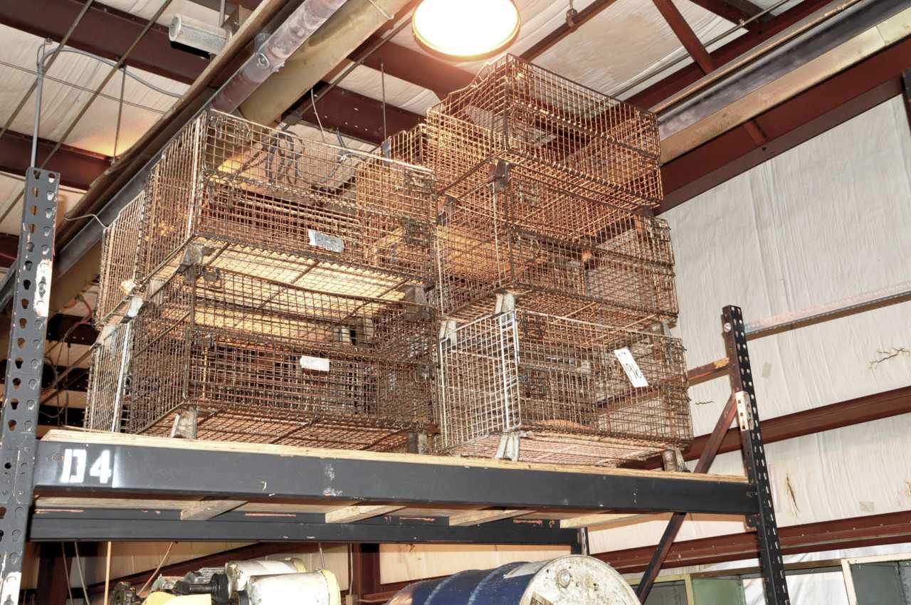 Lot-(10) Wire Baskets on (1) Top Shelf - ELECTRIC POWER TOOLS