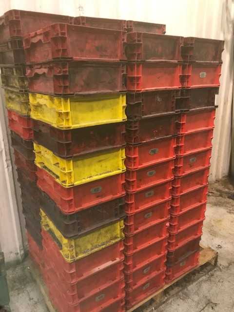 Plastic Trays - MISCELLANEOUS