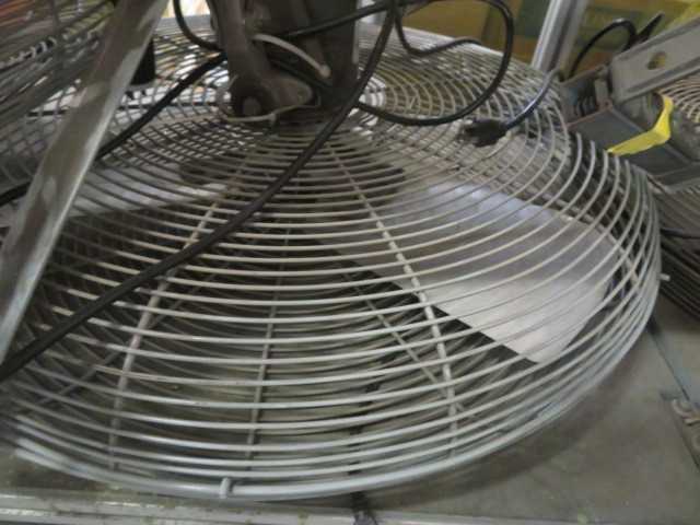 Fan - MISCELLANEOUS